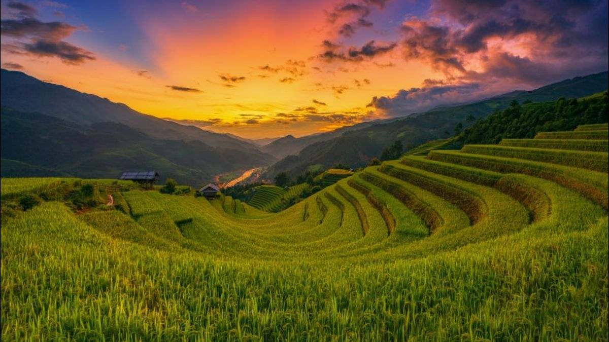 Vietvoyage Travel Agency